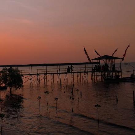 Album : Penunggul Mangrove Park